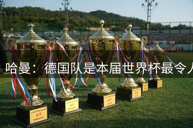 哈曼：德国队是本届世界杯最令人失望的球队