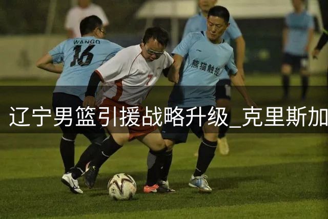 辽宁男篮引援战略升级 克里斯加盟或成新赛季关键拼图